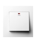 20A DP Switch with Neon