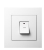 45A DP Switch with Neon